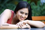 nikesha-patel-latest-gallery