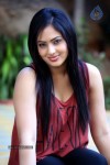 nikesha-patel-latest-gallery