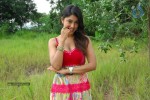 payal-ghosh-hot-gallery