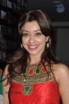 payal-ghosh-photos