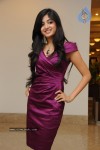 poonam-kaur-new-photo-stills