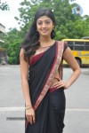 pranitha-new-gallery