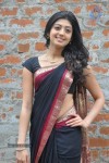 pranitha-new-gallery