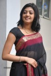 pranitha-new-gallery