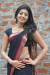 pranitha-new-gallery