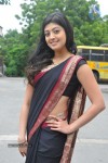 pranitha-new-gallery