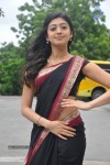 pranitha-new-gallery