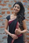 pranitha-new-gallery