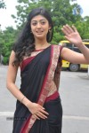 pranitha-new-gallery