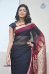 pranitha-new-gallery