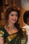 pranitha-new-photos