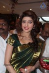 pranitha-new-photos