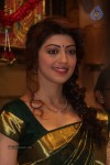 pranitha-new-photos