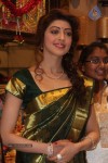 pranitha-new-photos