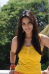 priya-anand-photo-stills