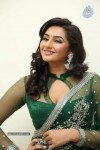 raagini-spicy-pics