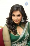 raagini-spicy-pics