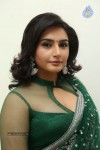 raagini-spicy-pics