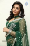 raagini-spicy-pics