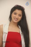 richa-panai-new-photos