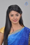 sanchita-photos