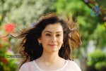 shambhavi-latest-stills