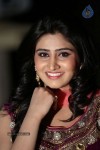 shamili-gallery