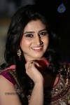 shamili-gallery