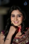 shamili-gallery