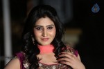 shamili-gallery