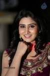 shamili-gallery