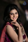 shamili-gallery