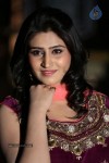 shamili-gallery