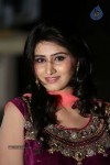 shamili-gallery