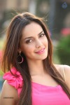 shazahn-padamsee-new-photos