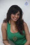 shilpi-sharma-hot-gallery