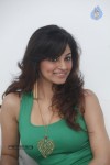 shilpi-sharma-hot-gallery