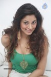 shilpi-sharma-hot-gallery