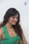 shilpi-sharma-hot-gallery