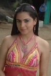 shraddha-arya-gallery