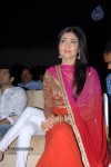 shriya-saran-new-stills