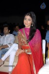 shriya-saran-new-stills