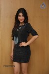 shruti-haasan-stills