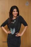 shruti-haasan-stills