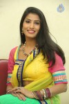 shruti-new-gallery