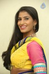 shruti-new-gallery