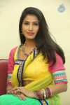 shruti-new-gallery