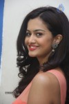 shubra-aiyappa-new-gallery