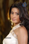 sneha-latest-stills