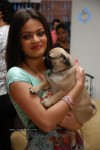 sneha-ullal-new-stills